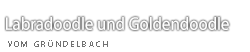 goldendoodle-vom-gruendelbach.de